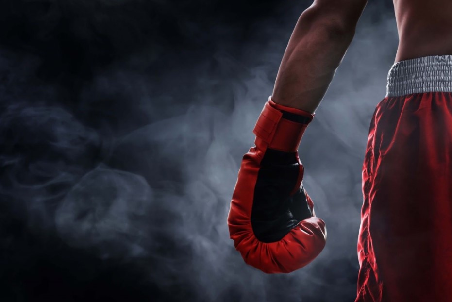 Подробнее о статье ТОП-5 элементов экипировки для MMA